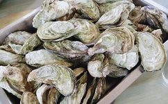 肉乳床欢无码A片120秒